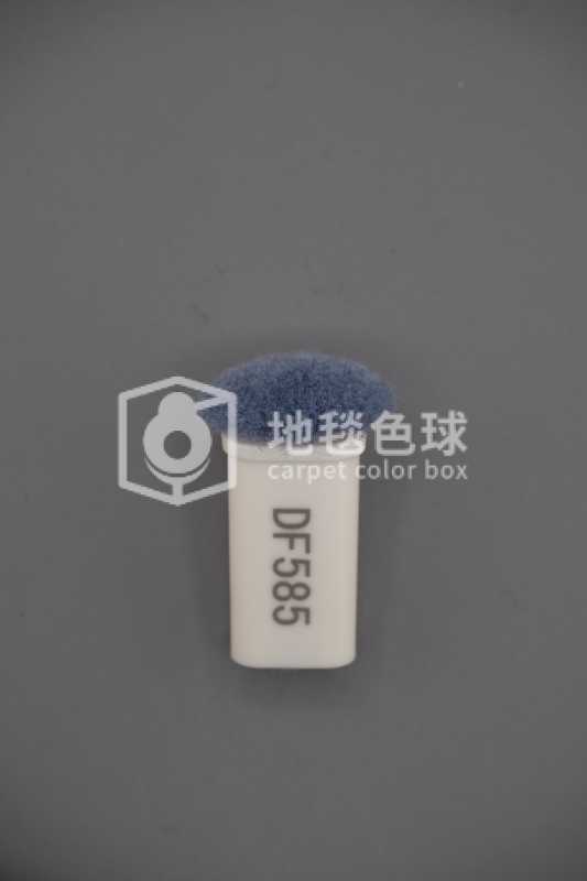 DF585