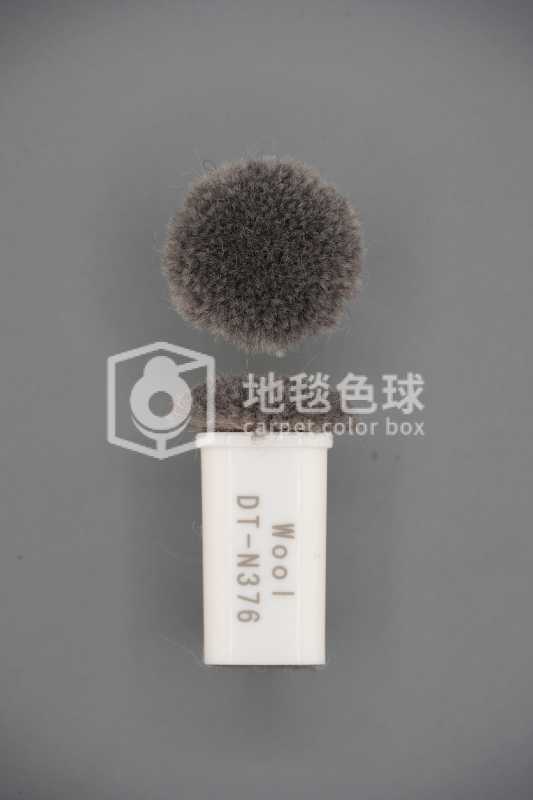 DT N376