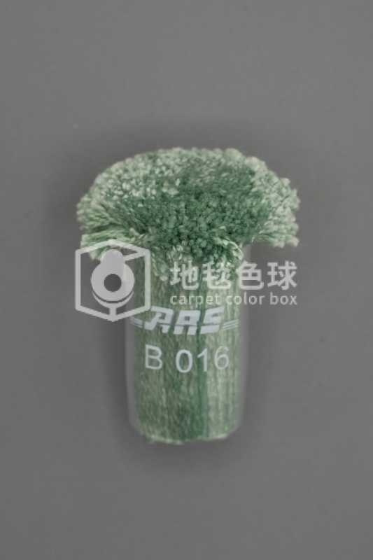 ARS B016