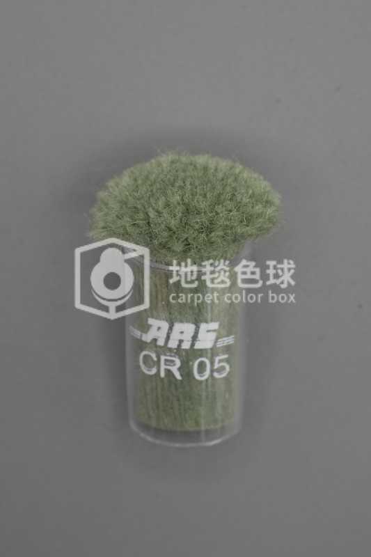 ARS CR05
