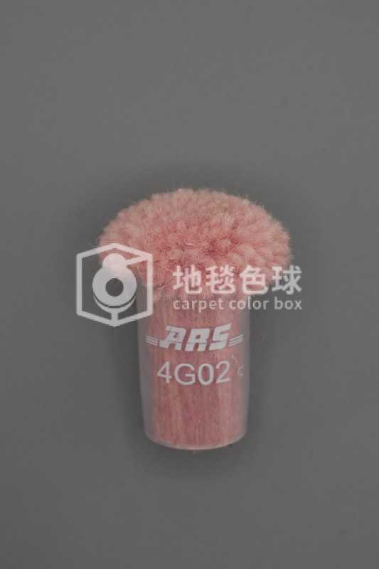 ARS 4G02