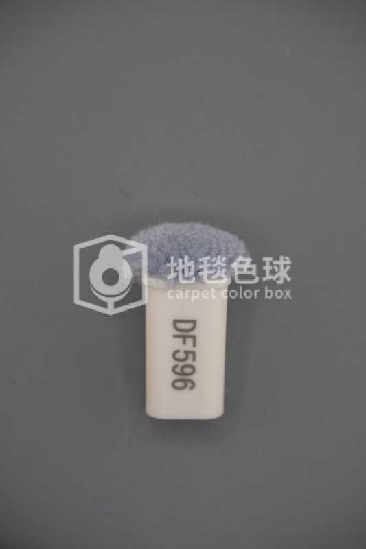 DF596