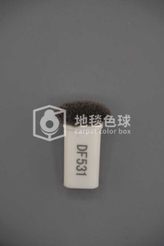 DF531