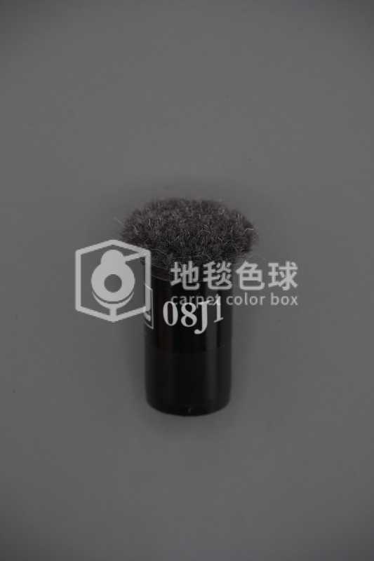 08J1