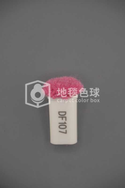 DF107