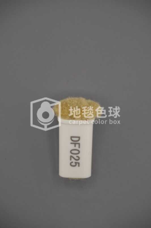 DF025