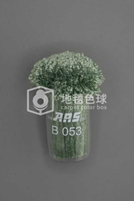 ARS B053