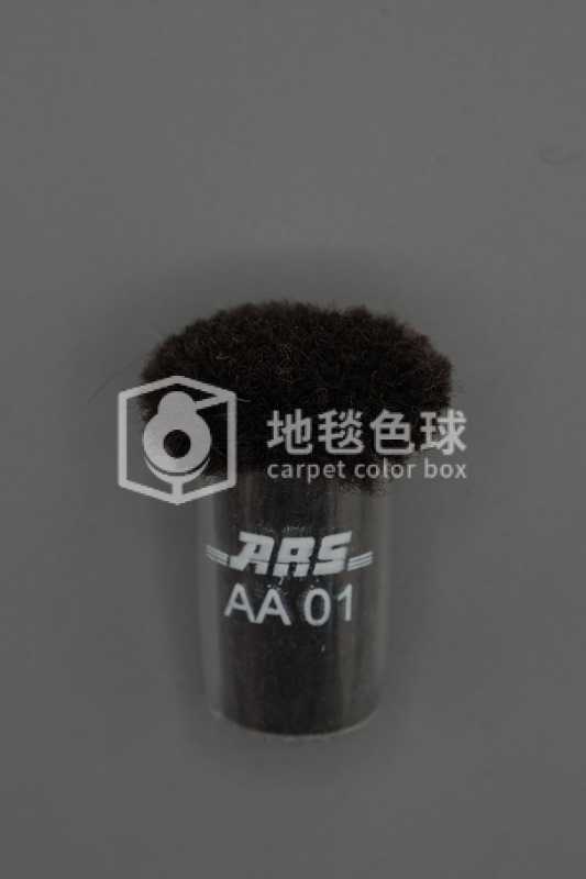 ARS AA01