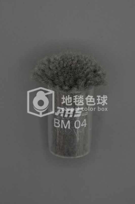 ARS BM04