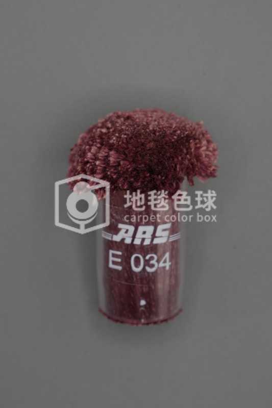 ARS E034