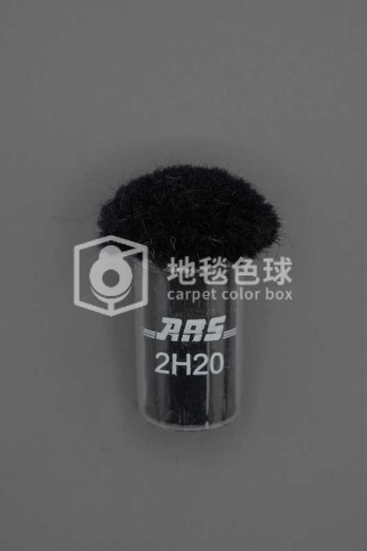 ARS 2H20