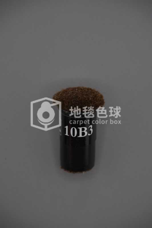 10B3