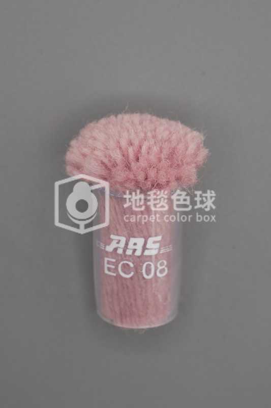 ARS EC08
