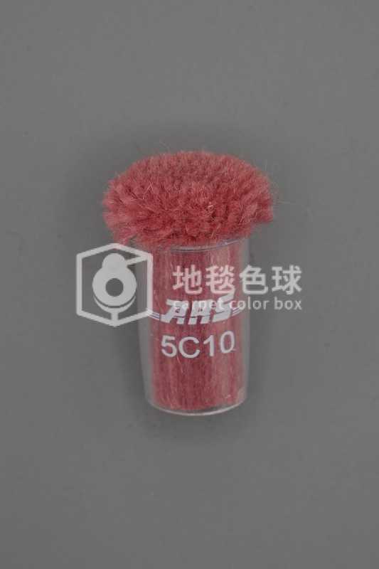 ARS 5C10