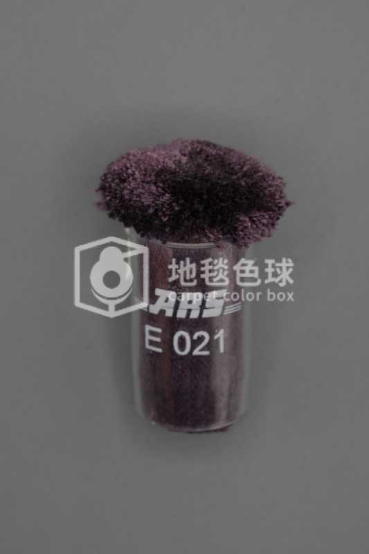 ARS E021