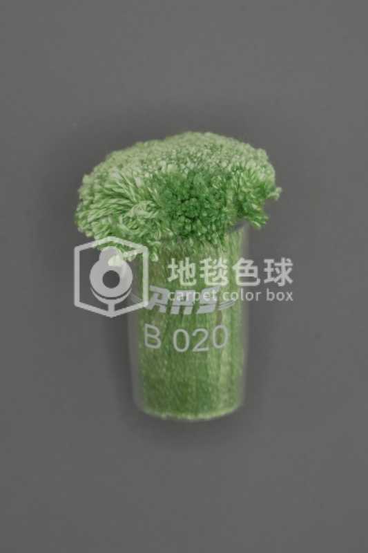 ARS B020