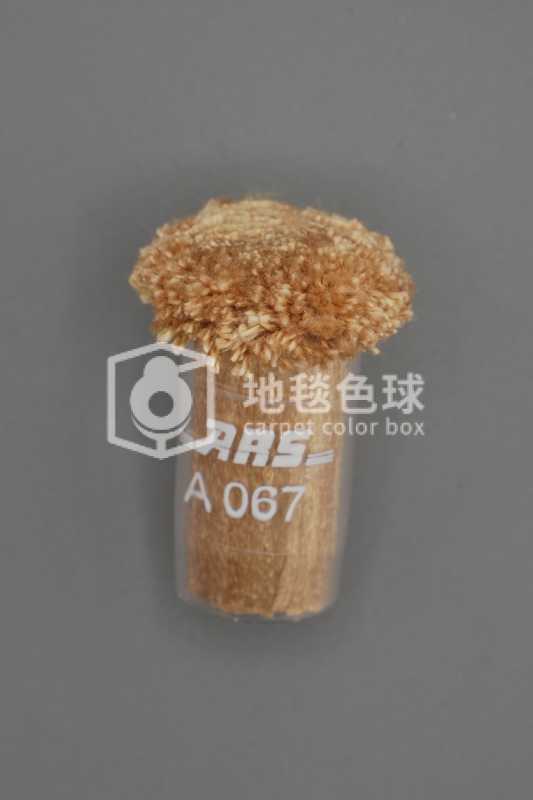 ARS A067