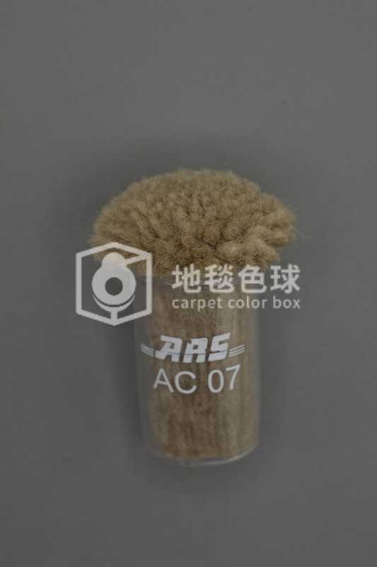 ARS AC07