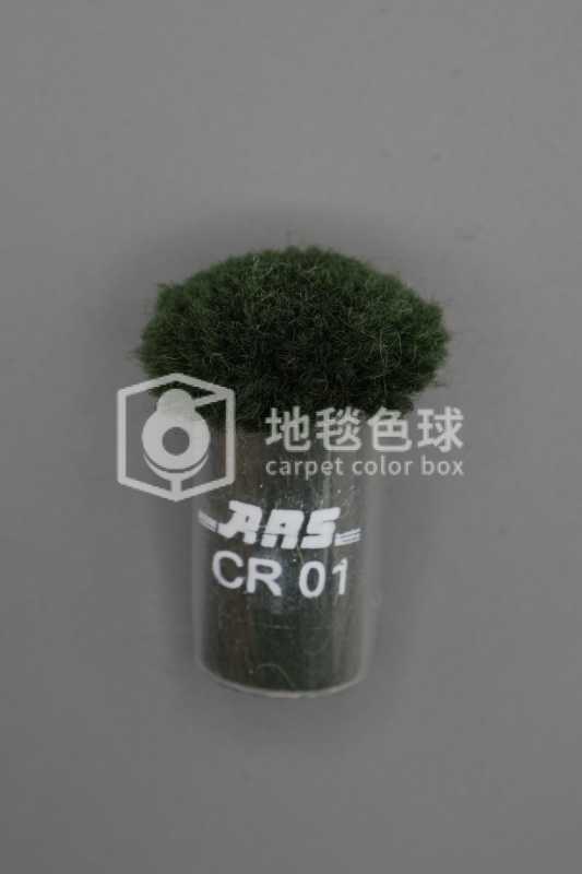 ARS CR01