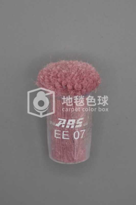 ARS EE07