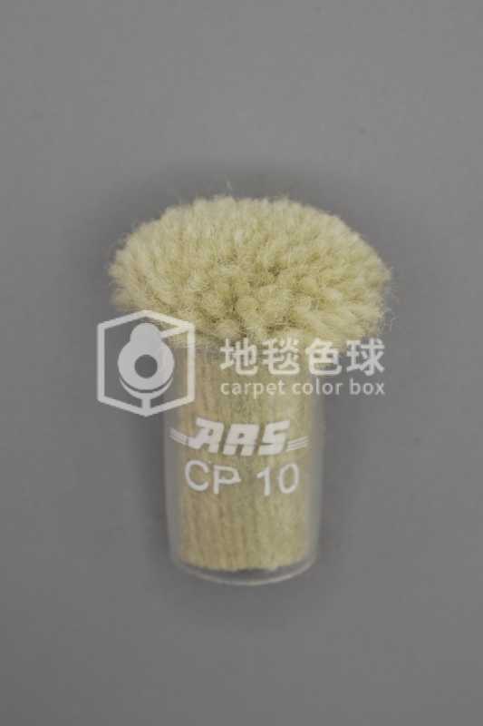 ARS CP10