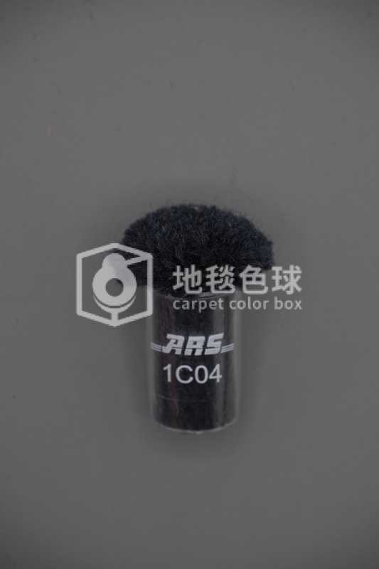 ARS 1C04