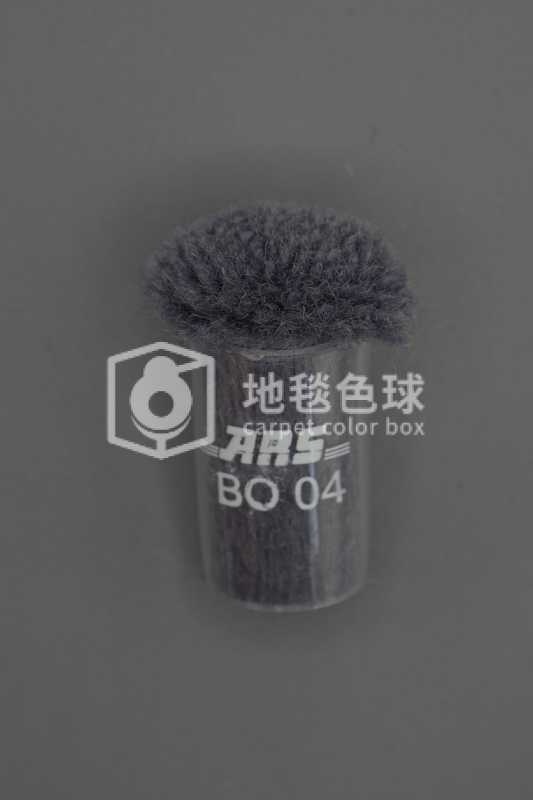 ARS BO04