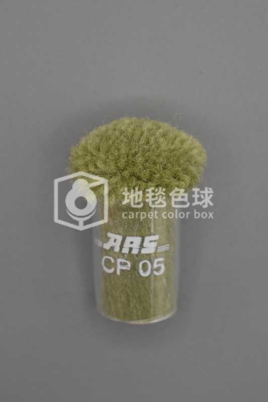 ARS CP05