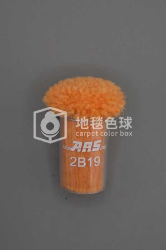 ARS 2B19