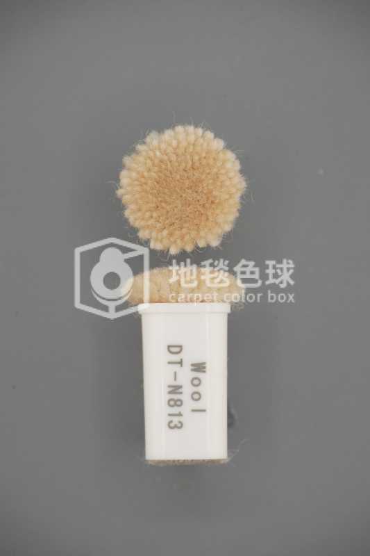 DT N813