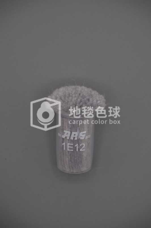 ARS 1E12