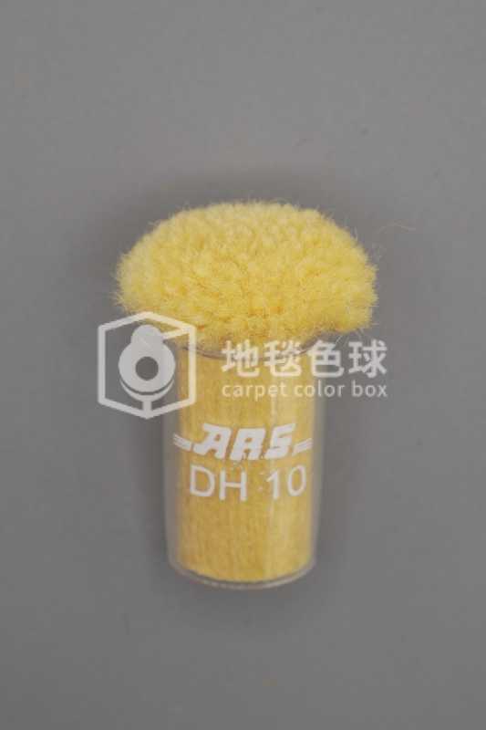 ARS DH10