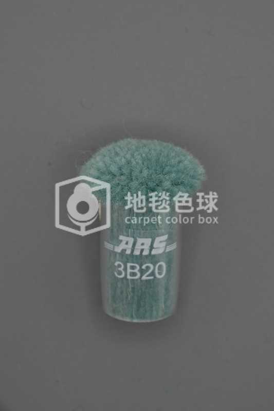 ARS 3B20
