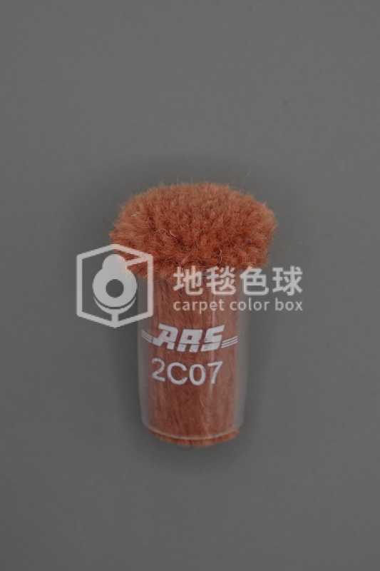 ARS 2C07