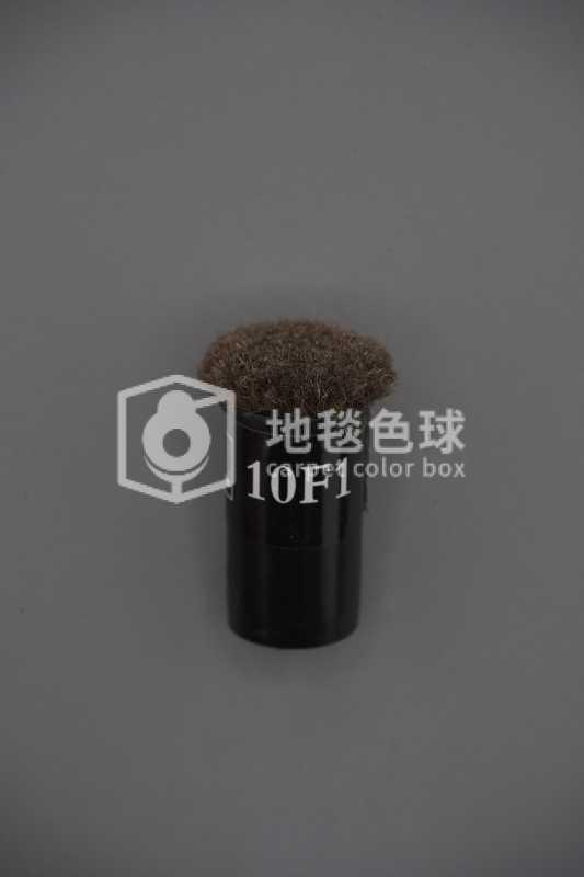 10F1