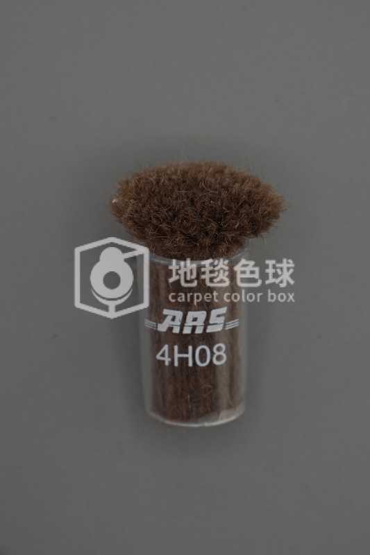 ARS 4H08