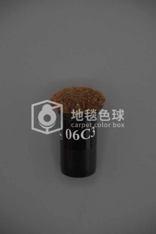 06C3