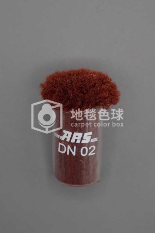 ARS DN02