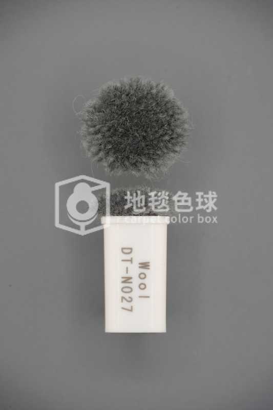 DT N027