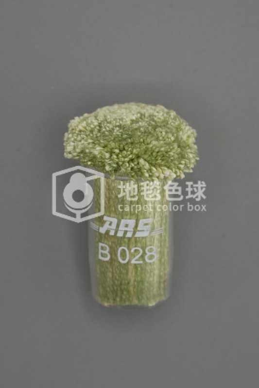 ARS B028