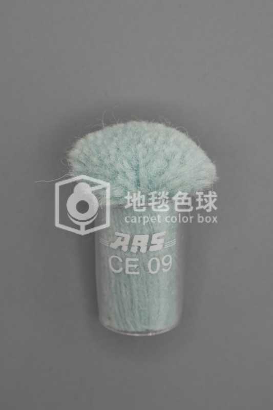 ARS CE09