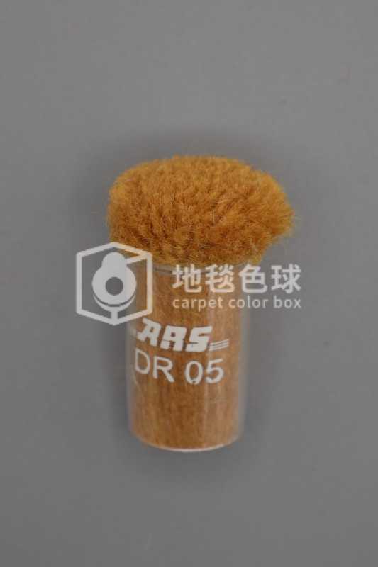 ARS DR05