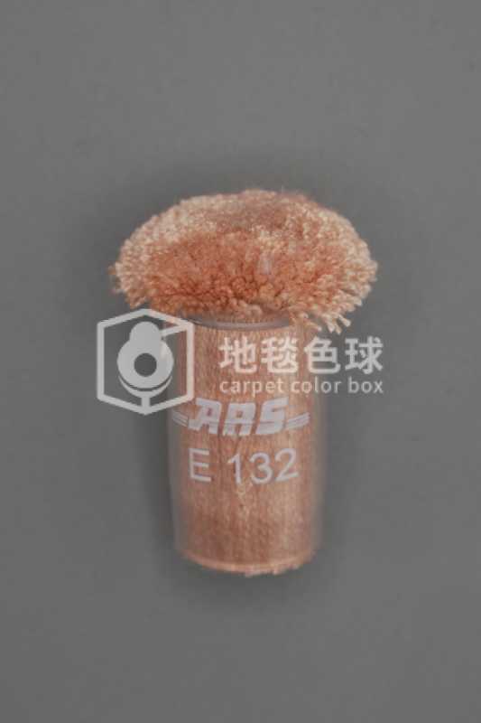 ARS E132