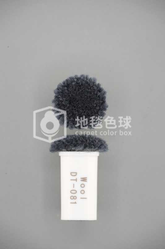 DT 081