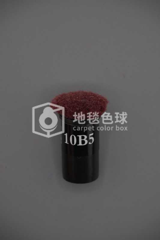 10B5