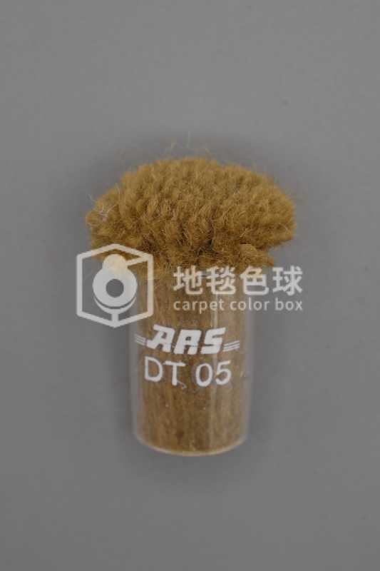 ARS DT05