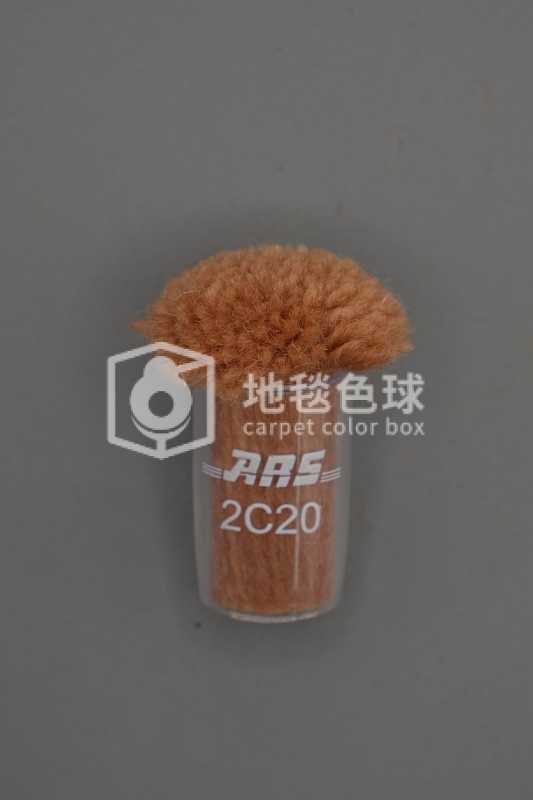 ARS 2C20