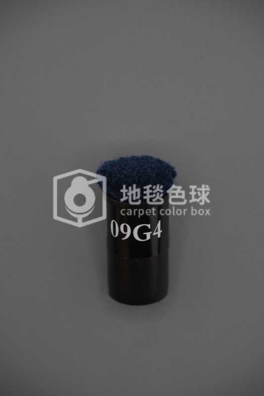 09G4