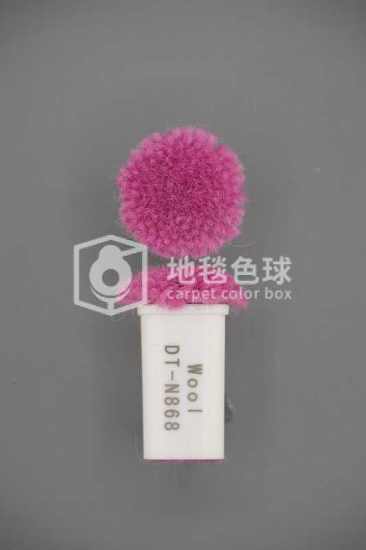 DT N868