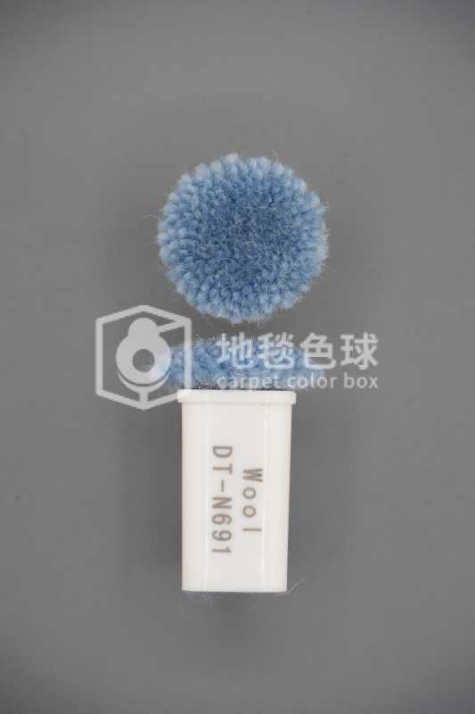 DT N691